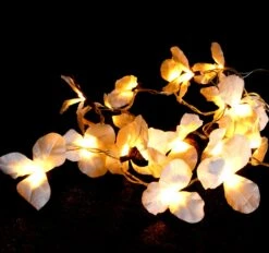Exotische Lotusblüten, Blüten LED Lichterkette Chiang Mai 20 Stk. - Lotus Naturweiß