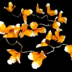 Exotische Lotusblüten, Blüten LED Lichterkette Chiang Mai 20 Stk. - Lotus Naturweiß/orange -Laden Für Heimbeleuchtung 10 18dsc09031