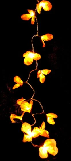 Exotische Lotusblüten, Blüten LED Lichterkette Chiang Mai 20 Stk. - Lotus Orange -Laden Für Heimbeleuchtung 10 18dsc09039