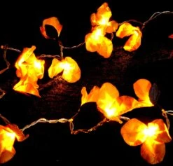 Exotische Lotusblüten, Blüten LED Lichterkette Chiang Mai 20 Stk. - Lotus Orange -Laden Für Heimbeleuchtung 10 18dsc09041