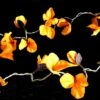 Exotische Lotusblüten, Blüten LED Lichterkette Chiang Mai 20 Stk. - Lotus Orange -Laden Für Heimbeleuchtung 10 18dsc09043