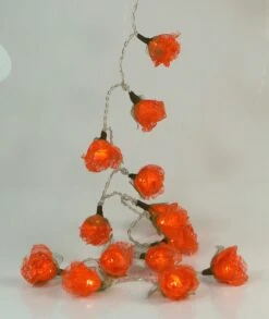 Bast Rosen LED Lichterkette 20 Stk. - Orange -Laden Für Heimbeleuchtung 6 13dsc09561