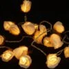 Papier Rosen LED Lichterkette 20 Stk. - Rose Weiß -Laden Für Heimbeleuchtung papier rosen led lichterkette weiss 16338