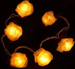 Blüten LED Lichterkette 20 Stk. Rose - Weiß -Laden Für Heimbeleuchtung xtan11 14dsc04658