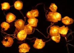 Blüten LED Lichterkette 20 Stk. Rose - Weiß