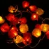 Blüten LED Lichterkette 20 Stk. Rose - Rot/gelb/orange -Laden Für Heimbeleuchtung xtan11 14dsc04669