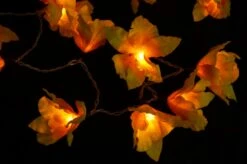 Lotus Blüten LED Lichterkette 20 Stk. - Blüte Gelb -Laden Für Heimbeleuchtung xtan11 14dsc04712