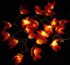 Lotus Blüten LED Lichterkette 20 Stk. - Blüte Rot -Laden Für Heimbeleuchtung xtan11 14dsc04715