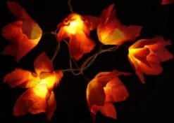 Lotus Blüten LED Lichterkette 20 Stk. - Blüte Rot -Laden Für Heimbeleuchtung xtan11 14dsc04718