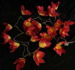 Lotus Blüten LED Lichterkette 20 Stk. - Blüte Rot -Laden Für Heimbeleuchtung xtaus11 14dsc04715