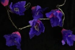 Lotus Blüten LED Lichterkette 20 Stk. - Blüte Lila -Laden Für Heimbeleuchtung xtaus11 14dsc04727